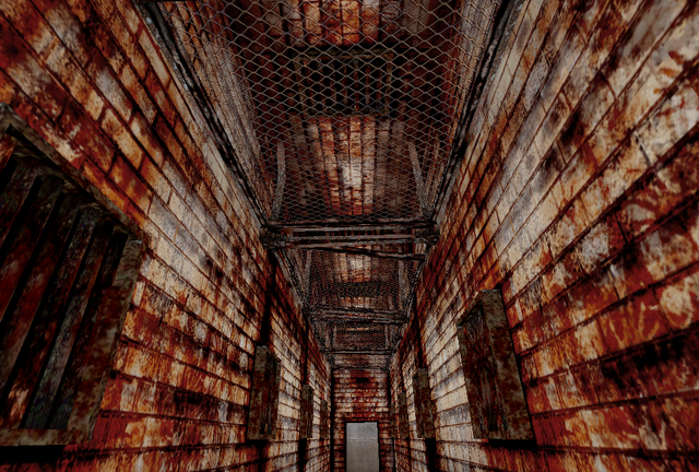 File:Red hallwayBrookhaven.png