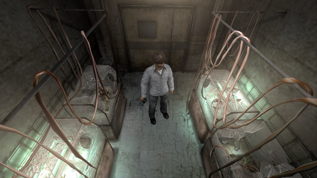 File:UmbilicalCordRoom.png