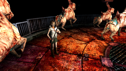 Sh3carousel.png