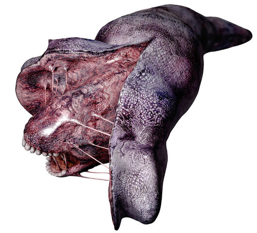 Datei:Split Worm.jpg