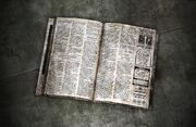 Revista.jpg