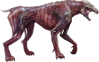 Feral
