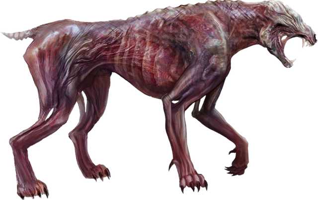 Plik:Feral.png