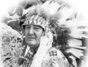 Chief Many Treaties