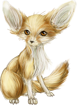 Fennec female