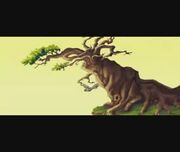 Tree Haven