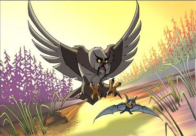 File:Owl.jpg