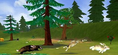 7badgers and rabbits copy