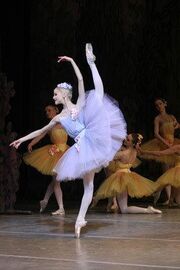 Rutheneballet