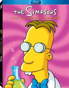 SimpsonsSeason16BluRay