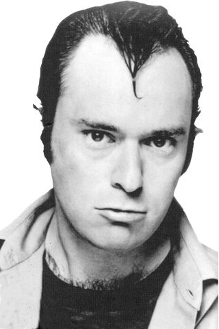 File:David lander.jpg