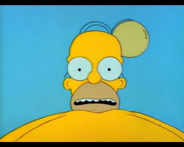 File:Homer's Night Out (007).jpg