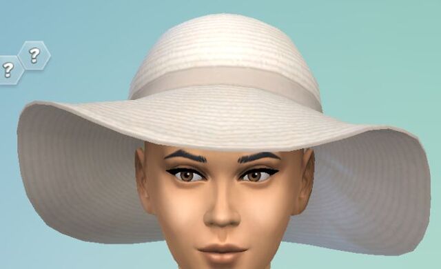 File:YfHat SunHat white.jpg