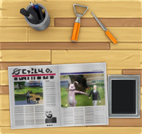 Social Bunny on Pumpkin Station