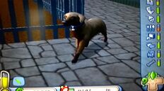 Sims 2 -Rosalinda Walking