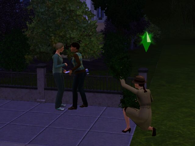 File:Private investigator stake-out.jpg