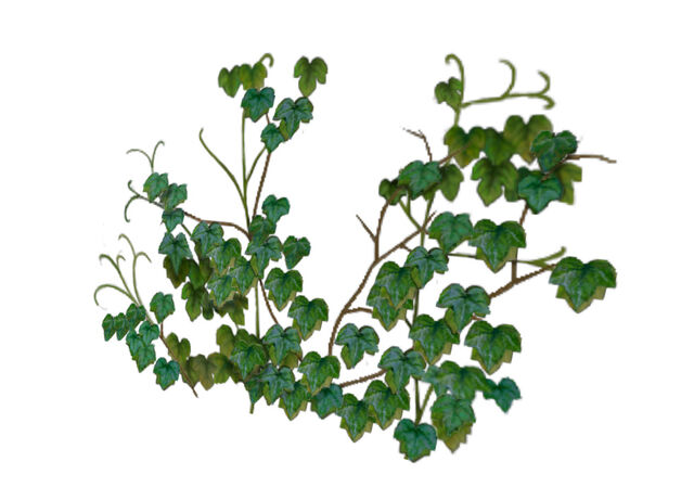 File:Gartenaccessoires-03-1-.jpg