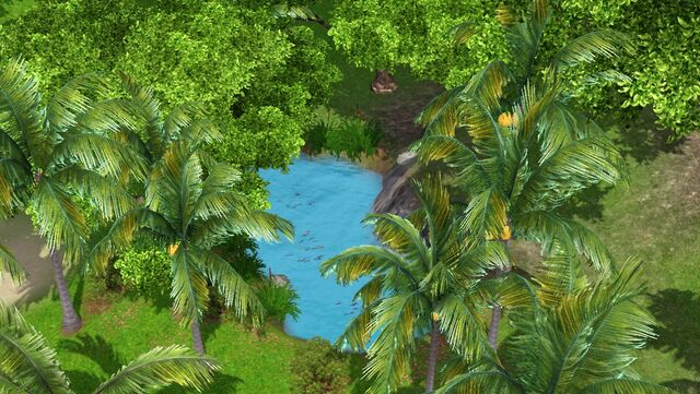 File:Jungle Fishing Spot.jpg