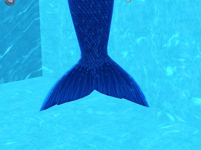 File:Male Mermaid Tail.jpeg