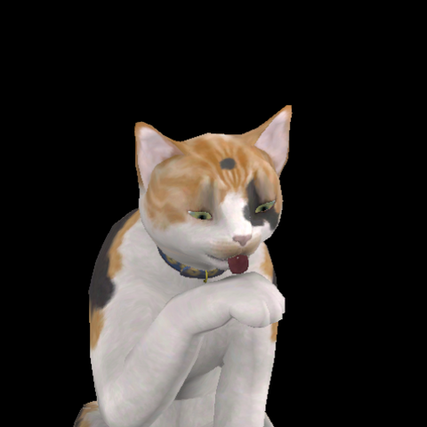 File:Muffin Lionheart.png