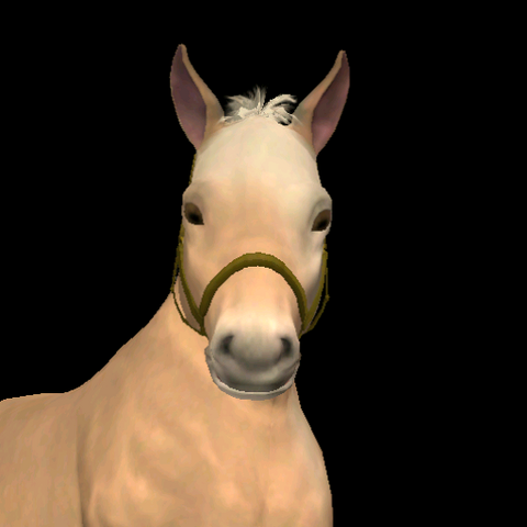 File:Willow Fox.png