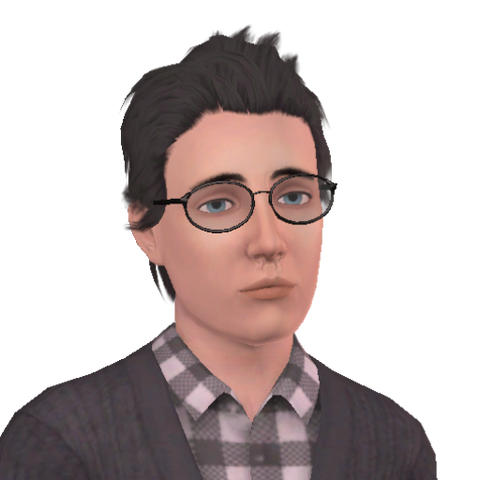 File:Satinav Schweiger.png