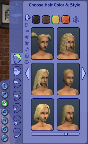 File:Hair & Face.png