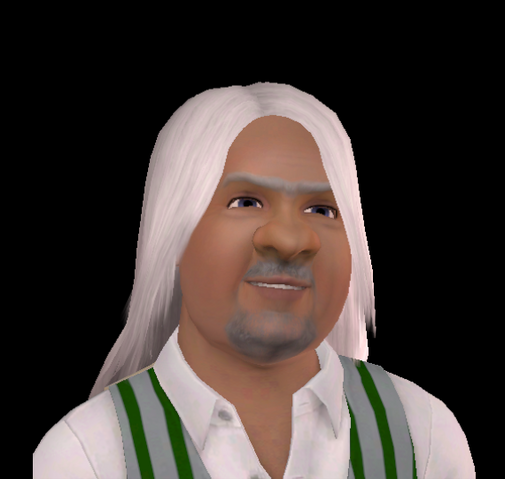 File:Erdrick Gnomeheim.png