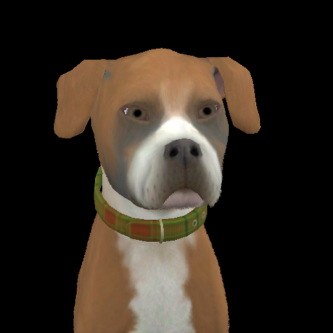 File:Walter Blackburn.png