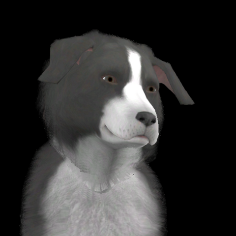 File:Shep Fox.png
