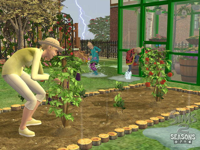 File:TS2S Gallery 17.jpg