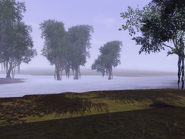 File:Twinbrook swamp.jpg