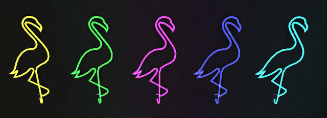 File:5flamingoes.jpg