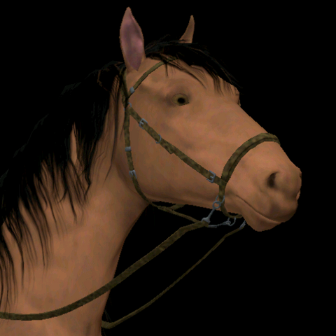 File:Freebird Johnson.png