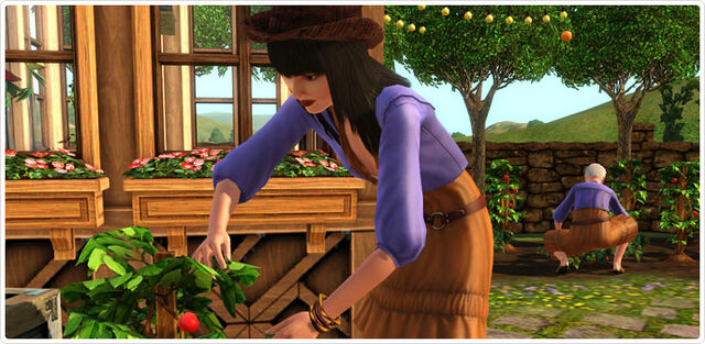 File:Bohemian Garden screenshot 1.jpg