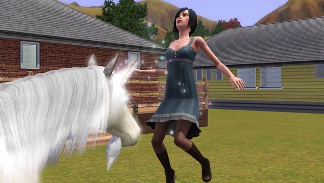 File:UnicornBless.jpg
