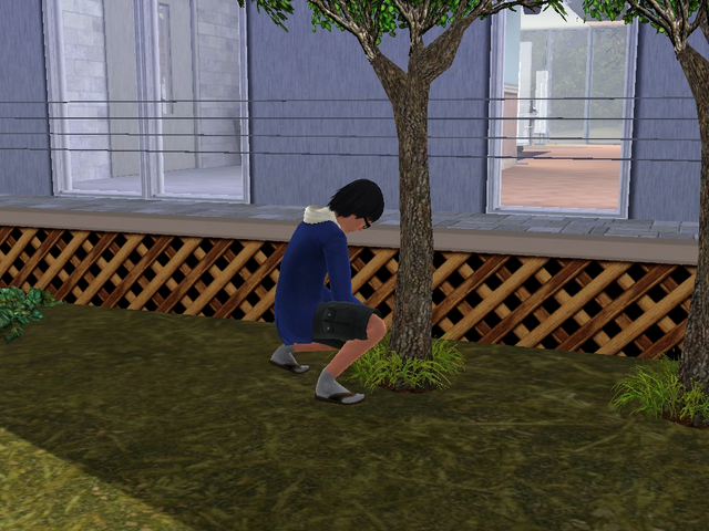 File:Noah Plants.png