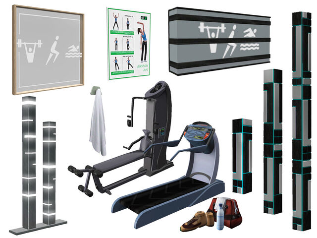 File:TS3 TLS Gym objects.jpg