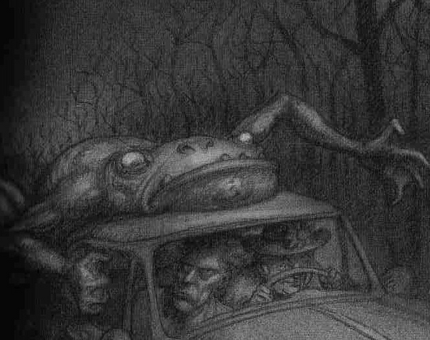 File:BellaAmphibian.png
