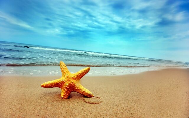 ไฟล์:Summer-at-lonely-beach.jpg