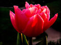 Thumbnail for version as of 18:12, May 30, 2013