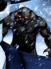 Yeti