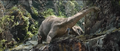 Thumbnail for version as of 01:49, February 13, 2014