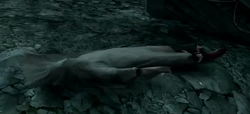 Briggs' dead body