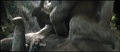 Thumbnail for version as of 01:30, February 13, 2014