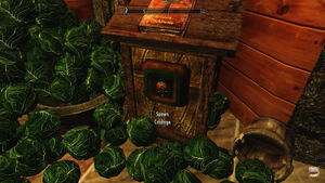 Ct cabbage dispenser
