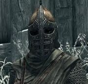 DawnstarGuard.jpeg