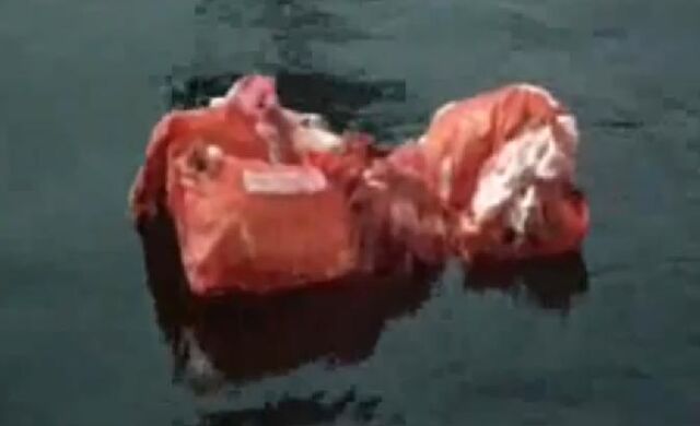 File:LifeVest.jpg