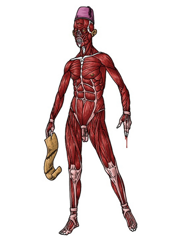 File:Skinless one.png