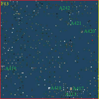 SF13